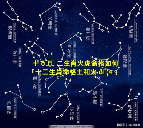 十 🦋 二生肖火虎命格如何「十二生肖命格土和火 🦢 」